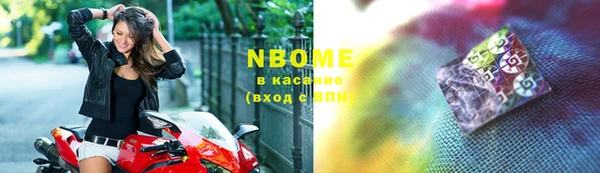 хмурый Белокуриха