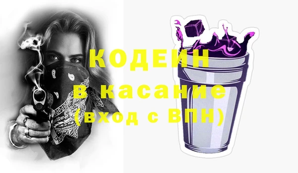 хмурый Белокуриха