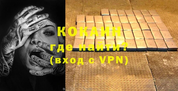 хмурый Белокуриха