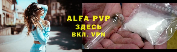 хмурый Белокуриха