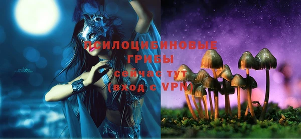 твердый Белоозёрский