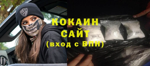 хмурый Белокуриха