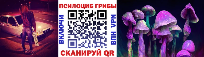купить наркоту Великие Луки Галлюциногенные грибы Magic Shrooms